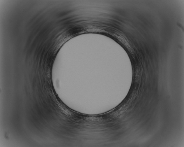 X0000097481281200803201502