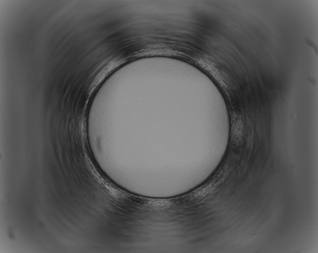 X0000097481282200803201502