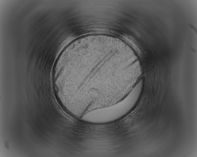 X0000097481283200803201501