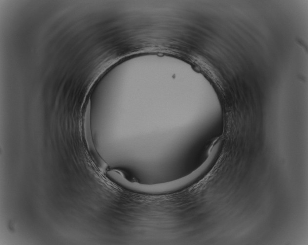 X0000097481284200803201501