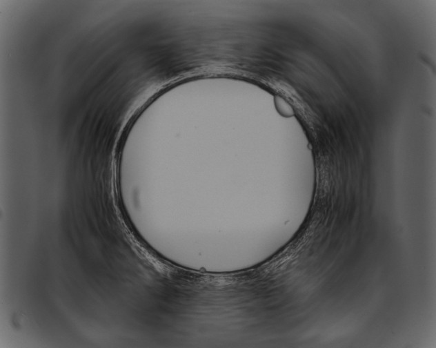 X0000097481286200803201501