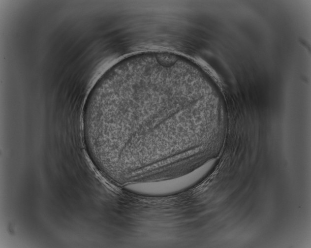 X0000097481287200803201501