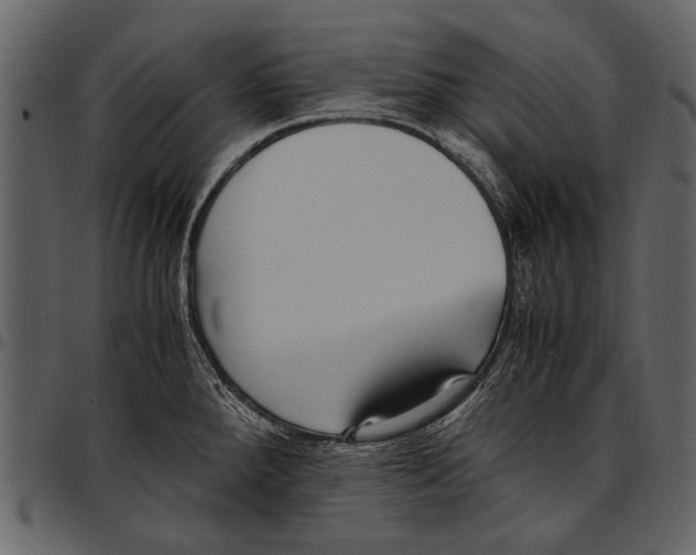 X0000097481288200803201501