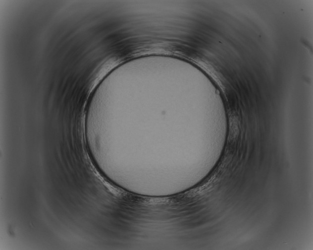 X0000097481290200803201501