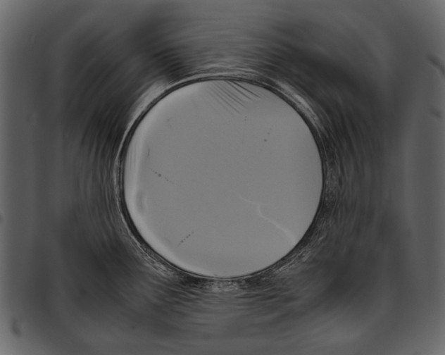 X0000097481291200803201501