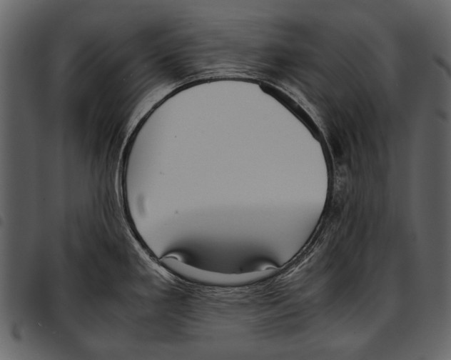 X0000097481293200803201501