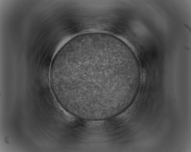 X0000097481294200803201501