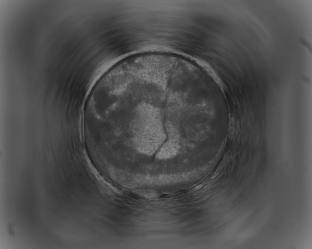 X0000097481295200803201501