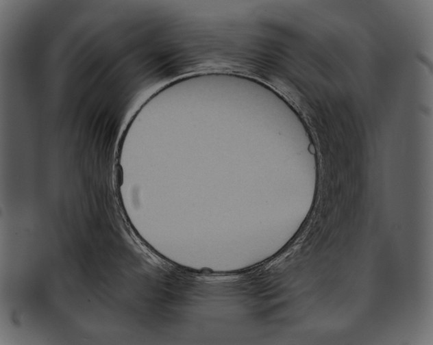 X0000097481296200803201501