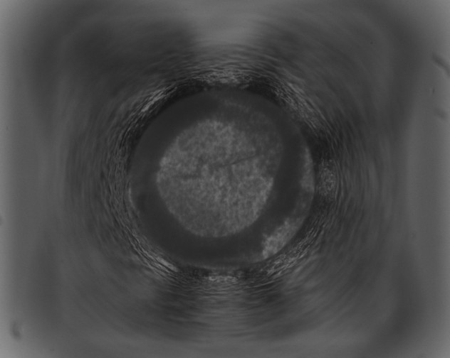 X0000097481297200803201501