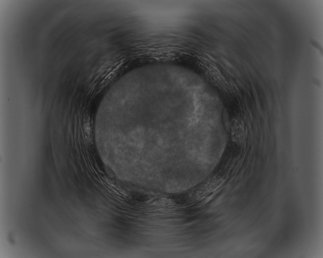 X0000097481298200803201501