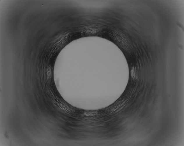 X0000097481299200803201501