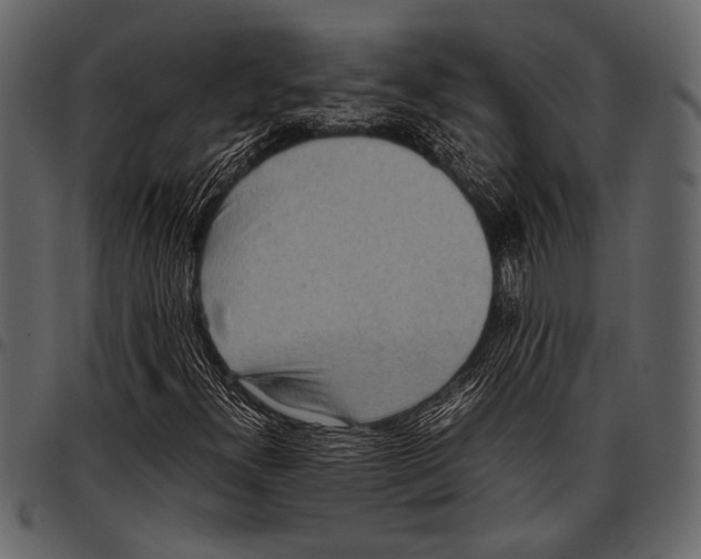 X0000097481300200803201501