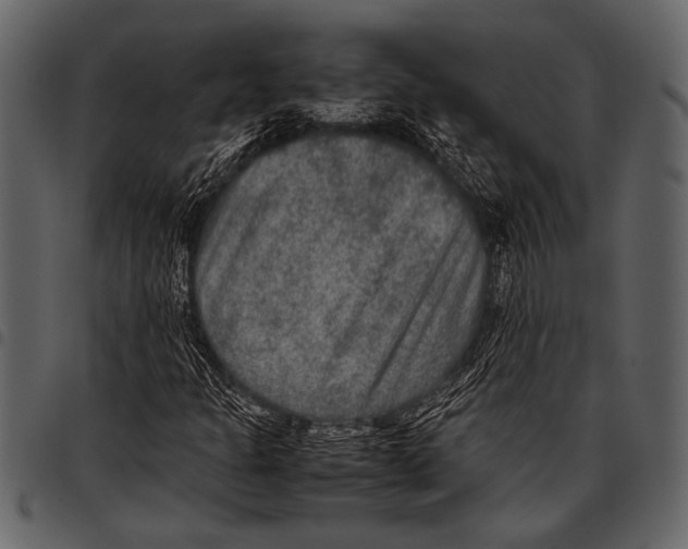 X0000097481301200803201501