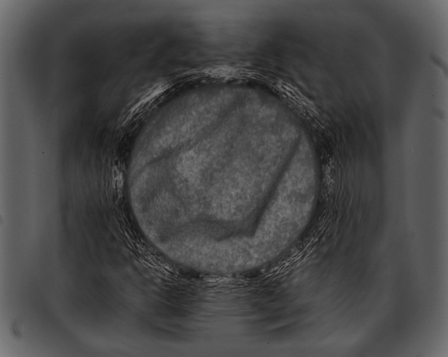 X0000097481302200803201501