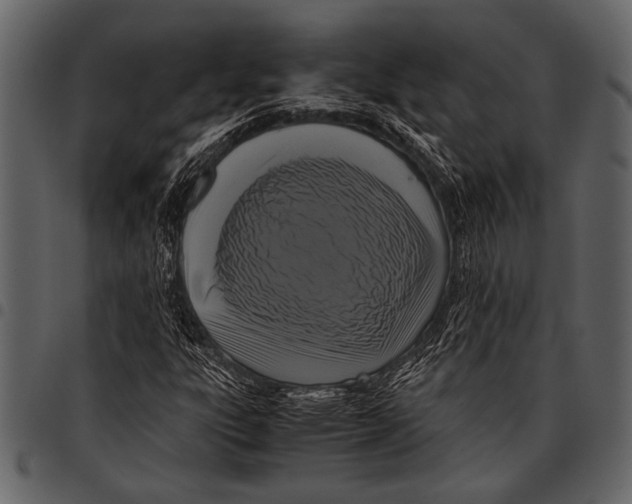 X0000097481303200803201501