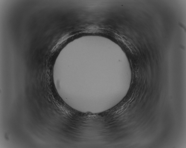 X0000097481304200803201501