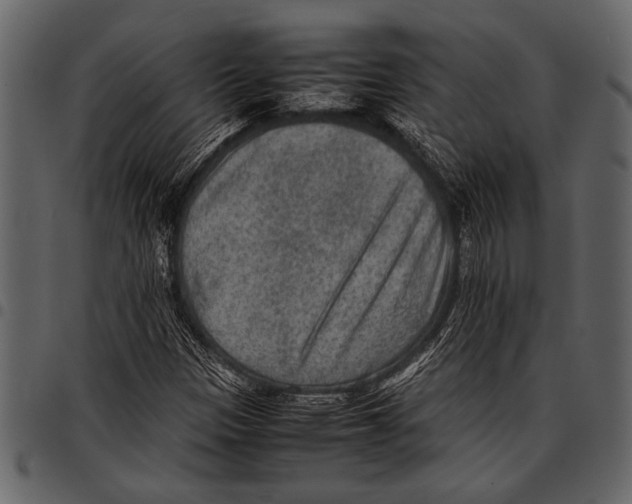 X0000097481305200803201501