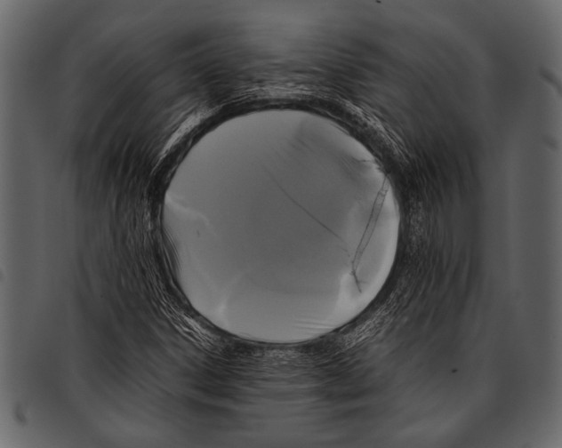 X0000097481306200803201501