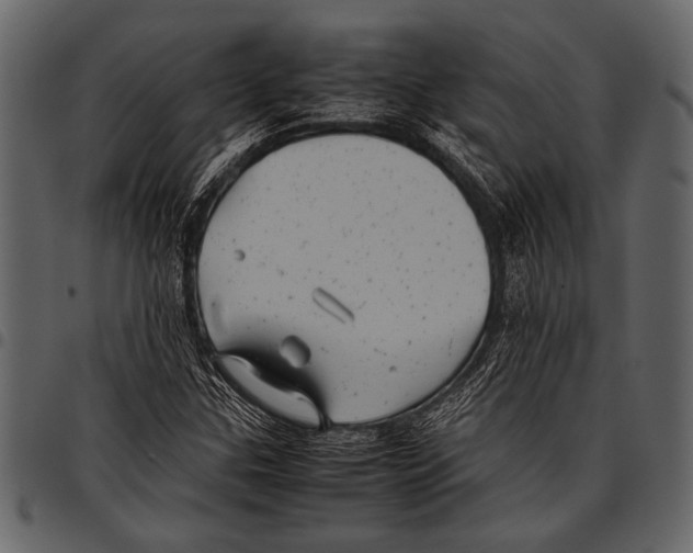 X0000097481307200803201501