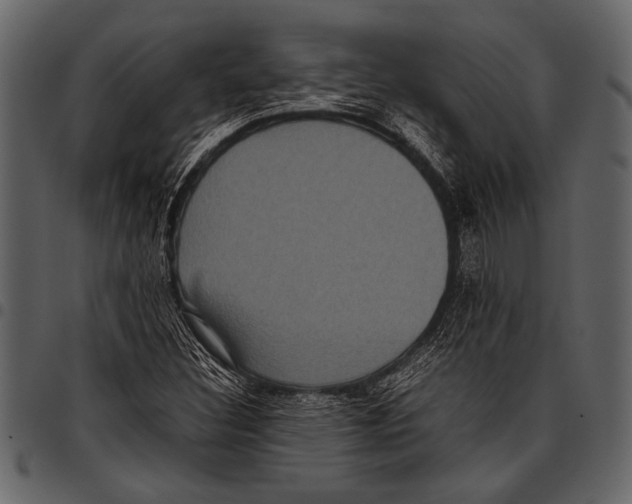 X0000097481308200803201501