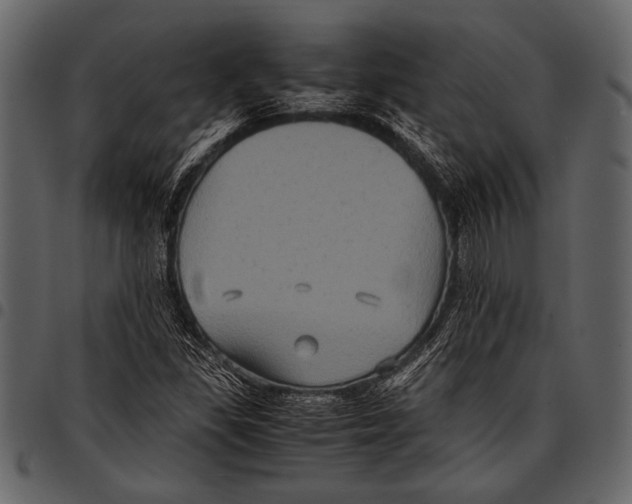 X0000097481309200803201501