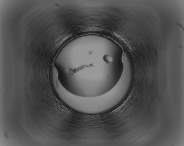 X0000097481313200803201501