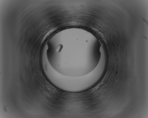 X0000097481314200803201501