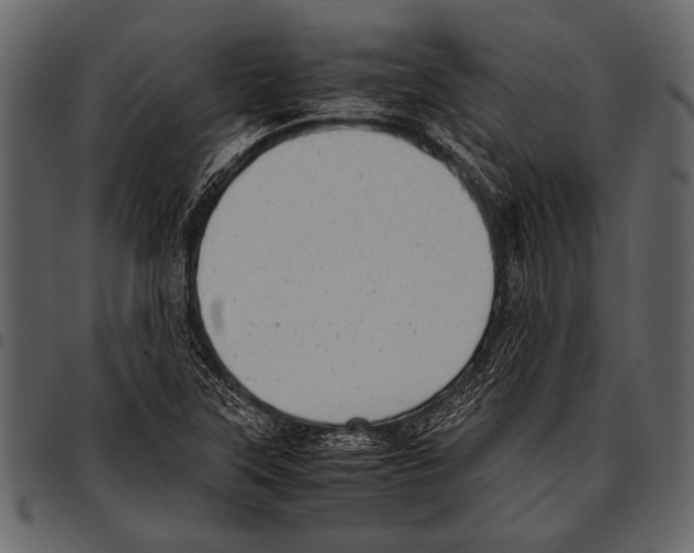 X0000097481315200803201501