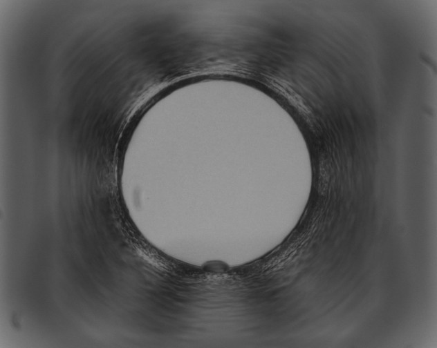 X0000097481316200803201501