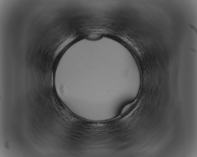 X0000097481317200803201501