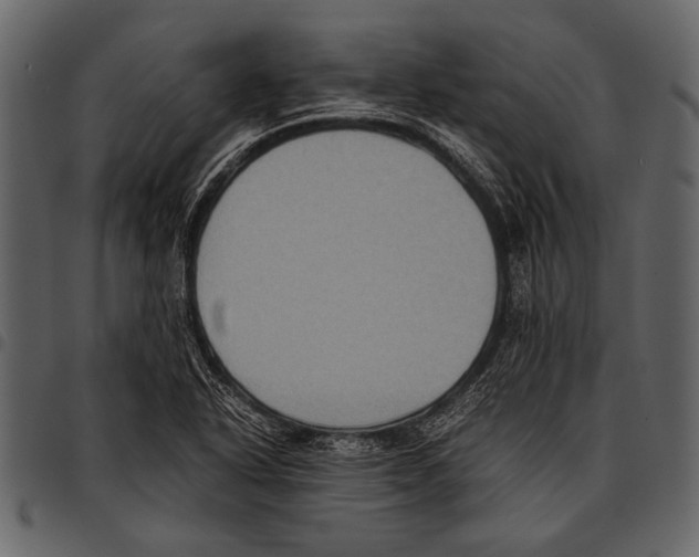 X0000097481318200803201501