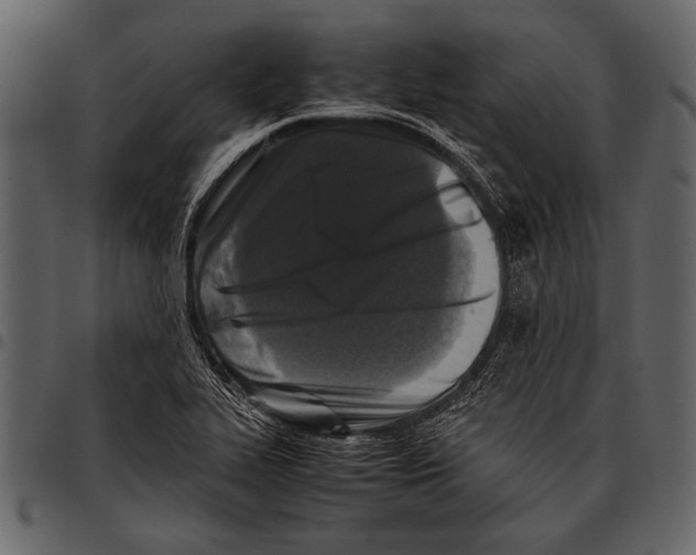 X0000097481319200803201501