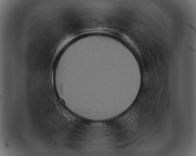 X0000097481320200803201501