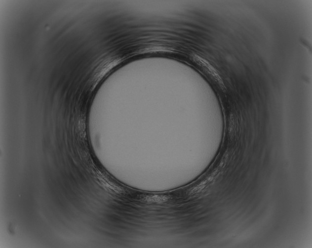 X0000097481321200803201501