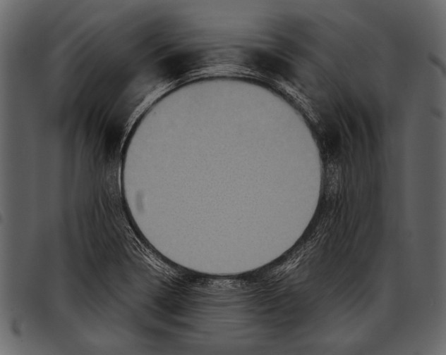 X0000097481322200803201501