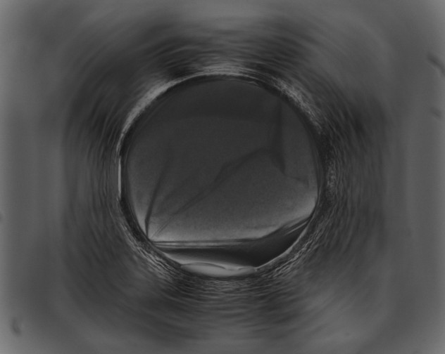 X0000097481323200803201501