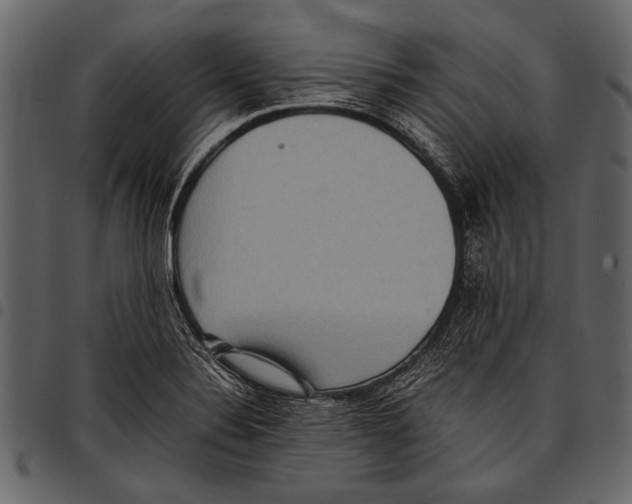 X0000097481324200803201501