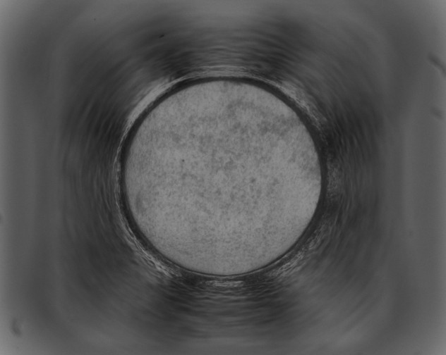 X0000097481325200803201501