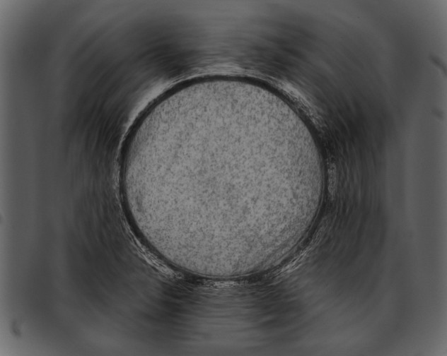 X0000097481326200803201501