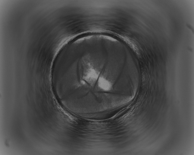 X0000097481327200803201501