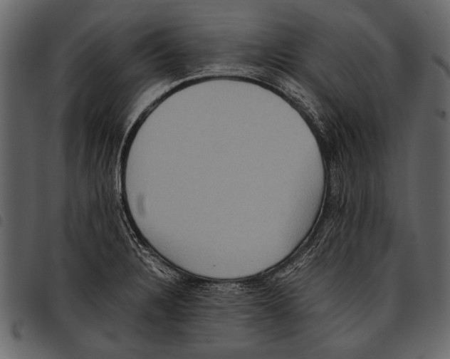 X0000097481328200803201501