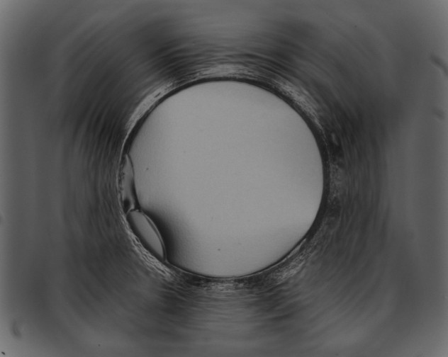 X0000097481330200803201501