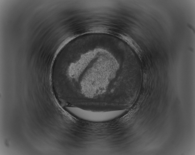 X0000097481331200803201501