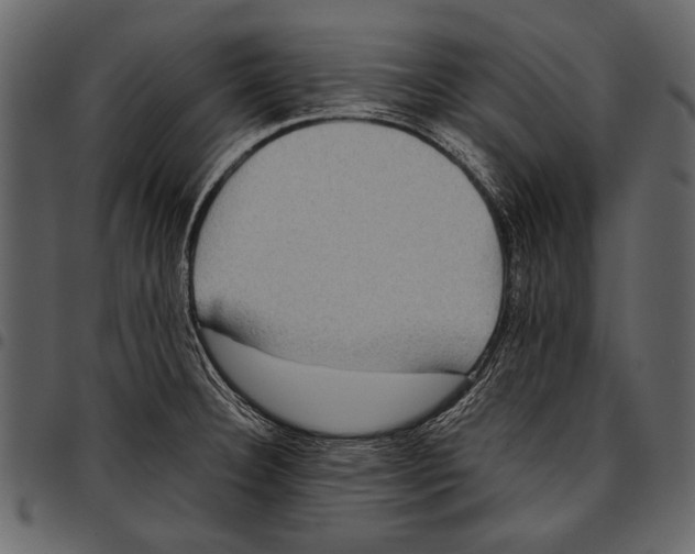 X0000097481332200803201501