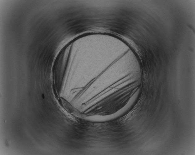 X0000097481335200803201501