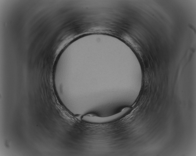 X0000097481336200803201501