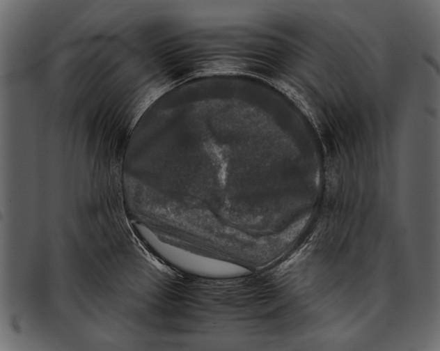 X0000097481337200803201501