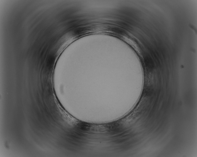 X0000097481338200803201501