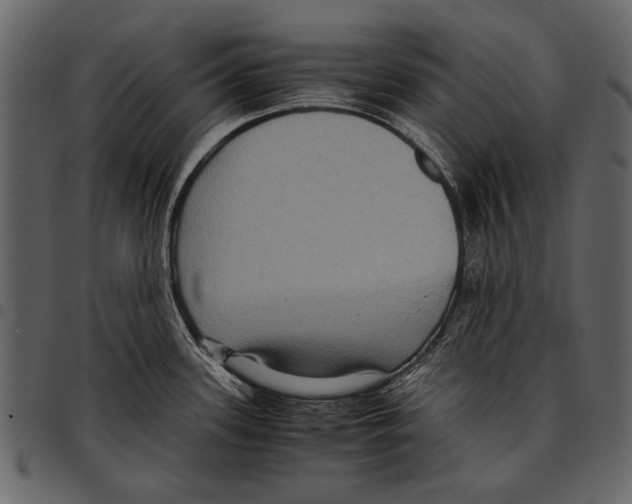 X0000097481339200803201501